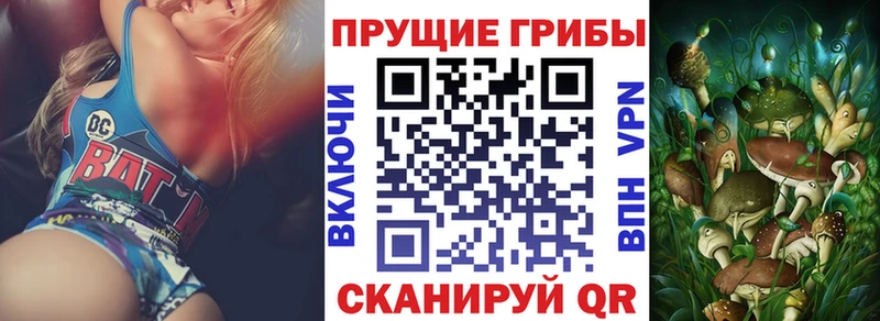 Псилоцибиновые грибы Cubensis  Лукоянов 